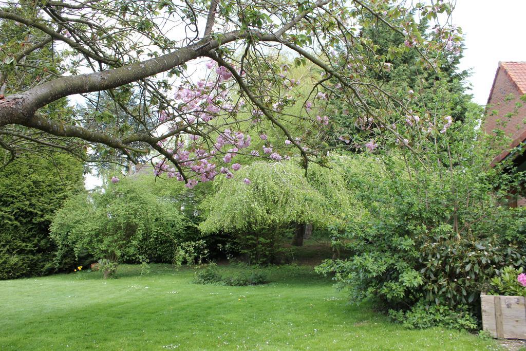 L'heure Bleue Et D'hotes